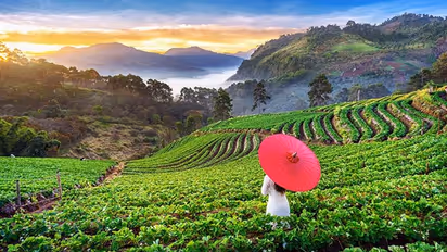 July Travel Destinations: Looking for monsoon destination? Add these places to your list!