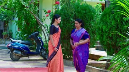 Devatha: నేను అమ్మని అవుతా.. చిన్మయి స్పీచ్ కు రాధ కన్నీళ్లు!