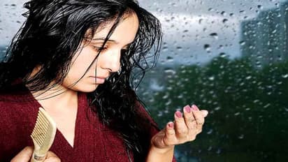 খাদ্যতালিকায় রাখুন এই চার খাবার, আজই বন্ধ হবে চুল পড়ার সমস্যা, জেনে নিন কী কী