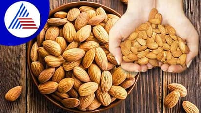 Healthy Food : ದಿನದಲ್ಲಿ ಎಷ್ಟು ಬಾದಾಮಿ ತಿನ್ಬೇಕು ಗೊತ್ತಾ?