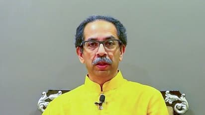 Maharashtra Elections 2024: Check PM Modi, Amit Shah's bags too - Uddhav to ECI after viral video (WATCH)