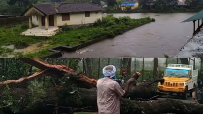 മഴ തുടരും ; തിരുവനന്തപുരം ഒഴികെ എല്ലാ ജില്ലകളിലും നാളെ യെല്ലോ അലർട്ട്