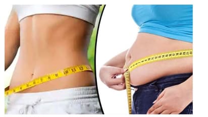Weight Loss Tips: নিত্য পাতে রাখুন এই তিনটি খাবার, বাড়তি মেদ ঝরে যাবে দ্রুত