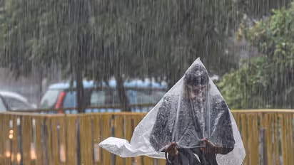Delhi likely to witness cloudy skies, light rainfall during next few days