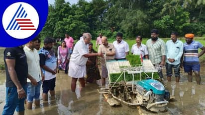 Udupi; ಹಡಿಲು ಭೂಮಿಯಲ್ಲಿ ಭತ್ತ ಬೆಳೆಯುವ ವಿಶಿಷ್ಟ ಕಲ್ಪನೆಗೆ ಮರುಚಾಲನೆ