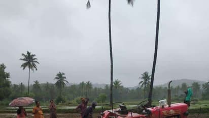 ಭತ್ತ ನಾಟಿ ಮಾಡುತ್ತಿರುವಾಗ ಕುಸಿದು ಬಿದ್ದು ರೈತ ಸಾವು, ಮರುಗಿದ ಜನ