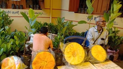 ಸಖರಾಯಪಟ್ಟಣದಲ್ಲಿ ಬಗೆ-ಬಗೆಯ ಹಲಸಿನ ಖಾದ್ಯ, ಬಾಯಿಗೆ ರುಚಿ ತೋರಿಸಿದ್ರೆ ಬಿಡಲು ಅಸಾಧ್ಯ