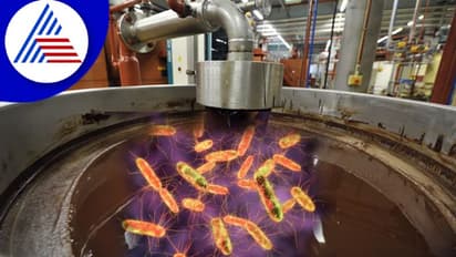 ಚಾಕೋಲೇಟ್ ಪ್ರಿಯರಾ ? ಹರಡ್ತಿದೆ ಸಾಲ್ಮೊನೆಲ್ಲಾ ಸೋಂಕು, ಎಚ್ಚರವಿರಲಿ