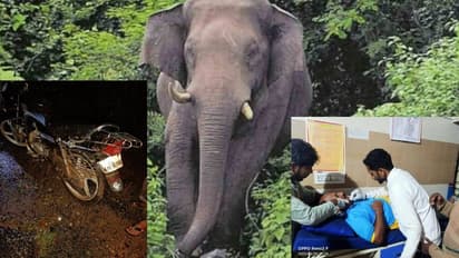 ಕಾಡಾನೆ ದಾಳಿ : ಬೈಕ್‌ ಬಿಟ್ಟೋಡಿ ಪ್ರಾಣ ಉಳಿಸಿಕೊಂಡ ಸವಾರ