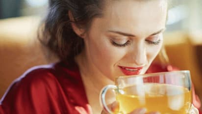 Thuthuvalai benefits: நீரழிவு பிரச்சனைக்கு தீர்வு தரும் தூதுவளை...! தினமும் எப்படி சாப்பிட வேண்டும் தெரியுமா?