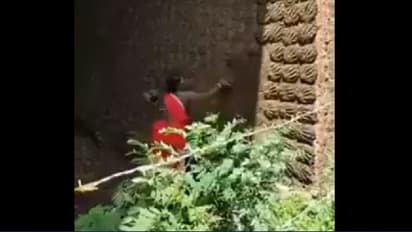 ಬೆರಣಿ ತಟ್ಟುವ ಮಹಿಳೆಯ ವಿಡಿಯೋ ವೈರಲ್: ಬಾಸ್ಕೆಟ್‌ಬಾಲ್‌ ಟೀಮಲ್ಲಿರಬೇಕಿತ್ತು ಎಂದ ನೆಟ್ಟಿಗರು