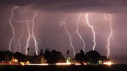 सीख लो सबक: भारी बारिश में पेड़ पर गिरी बिजली, वायरल वीडियो में देखिए क्या हुआ उसका हाल