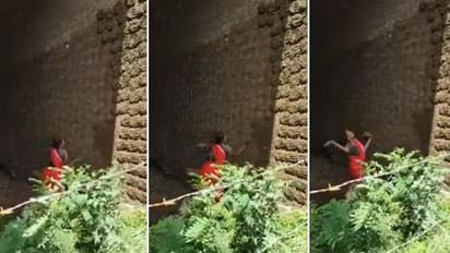 'ഹമ്പോ വൻ ഉന്നം തന്നെ'; വീണ്ടും വൈറലായി ഗ്രാമീണ വീഡിയോ