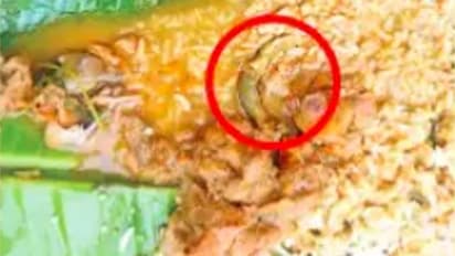 ஷாக்கிங் நியூஸ்.. ஓட்டலில் வாங்கிய சிக்கன் குழம்பில் பல்லி.. தொழிலாளி மருத்துவமனையில் அனுமதி..!