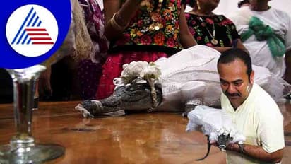 ಮೆಕ್ಸಿಕೋದಲ್ಲಿ ಮೊಸಳೆಯನ್ನೇ ಮದುವೆಯಾದ ಮೇಯರ್ !