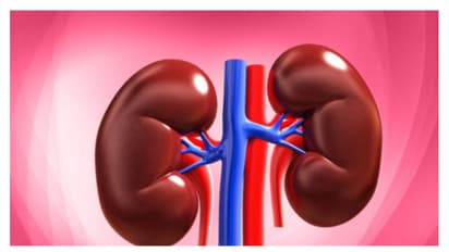 এই ৪ টি খাবার কিডনির জন্য বিপজ্জনক হতে পারে, এগুলি থেকে দূরত্ব বজায় রাখুন