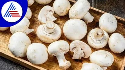 Mushroom: காளானை வெயிலில் வைத்து பிறகு சமைத்தால் இவ்வளவு நன்மைகள் கிடைக்குமா?