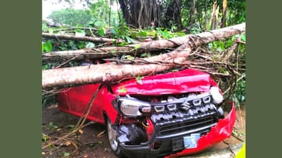 ഓടിക്കൊണ്ടിരുന്ന കാറിന് മുകളിൽ മരം പൊട്ടിവീണു: യാത്രക്കാർ അത്ഭുതകരമായി രക്ഷപ്പെട്ടു