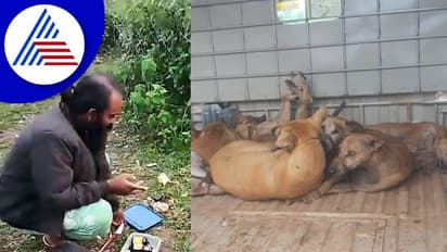 Dharwad: ನಾಯಿಯನ್ನು ಕೊಲ್ಲಲು ಮುಂದಾದ ದುರುಳರು: ರಕ್ಷಣೆ ಮಾಡಿದ ಶ್ವಾನ ಪ್ರಿಯ