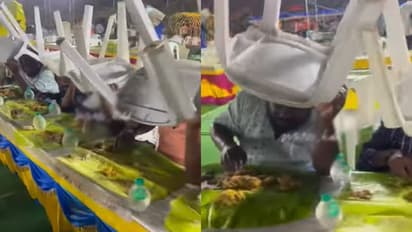 मूसलाधार बारिश में भी बारातियों ने नहीं छोड़ा खाना... वीडियो देख ऐसी सूझबूझ की आप भी करेंगे तारीफ 