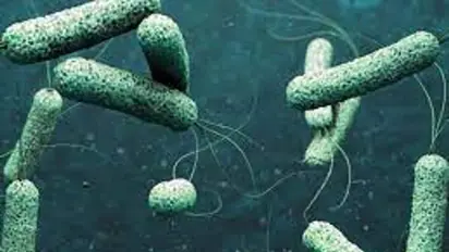 திருவனந்தபுரத்தில் காலராவுக்கு ஒருவர் பலி; 8 ஆண்டுகளில் காலராவுக்கு முதல் உயிரிழப்பு! 