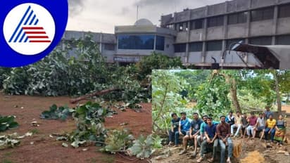 Dharwad; ಕಾನೂನು ಕಾಲೇಜಿನಲ್ಲಿ ಮರಗಳ ಮಾರಣಹೋಮ, ವಿದ್ಯಾರ್ಥಿಗಳ ಆಕ್ರೋಶ