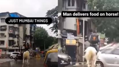 ಕುದುರೆ ಏರಿ ಬಂದ... ಸಿನಿಮಾ ಸ್ಟೈಲ್‌ಲ್ಲಿ ಫುಡ್ ಡೆಲಿವರಿ ಮಾಡಿದ ಸ್ವಿಗ್ಗಿ ಬಾಯ್: ವಿಡಿಯೋ ವೈರಲ್