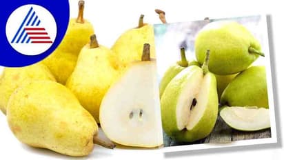 HealthTips: ಈ ರೋಗಿಗಳು ಪಿಯರ್ಸ್ ನಿಂದ ದೂರವಿರಿ