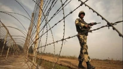 BSF ने पंजाब में हथियारों का जखीरा किया बरामद, पाकिस्तान से लाया गया तबाही का सामान