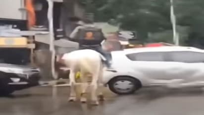 डिलीवरी मैन का सड़क पर धांसू अंदाज कर रहा हैरान, यूजर्स बोले- रूको मत, बस.. दौड़ाए जाओ