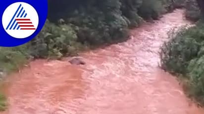 ಮಲೆನಾಡಲ್ಲಿ ವರುಣಾರ್ಭಟ: ಹಳ್ಳಕ್ಕೆ ಬಿದ್ದ ಛತ್ರಿ ಹಿಡಿಯಲು ಹೋಗಿ ನೀರುಪಾಲಾದ ಕಂದಮ್ಮ