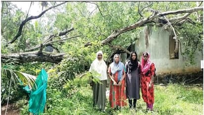 ശക്തമായ കാറ്റിൽ പുളി മരം വീണ് ഷീറ്റിട്ട വീട് തകർന്നു; തലനാരിഴക്ക് വീട്ടുകാർ രക്ഷപ്പെട്ടു, ഒഴിവായത് വൻ ദുരന്തം