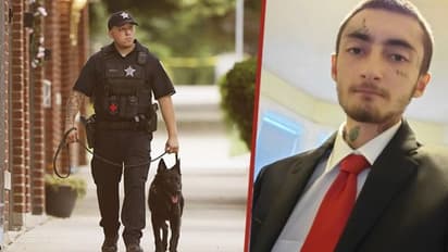 স্বাধীনতা দিবসের অনুষ্ঠানের মধ্যেই বন্দুকবাজের হামলা আমেরিকায়, মৃত ৬, গ্রেফতার হামলাকারী