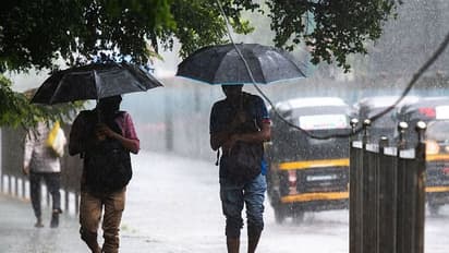 IMD issues yellow alert in Maharashtra: Thunderstorms, heavy rainfall expected