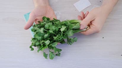  ಕೊತ್ತಂಬರಿ ಸೊಪ್ಪು ದೀರ್ಘ ಕಾಲ ಉಳಿಯುವಂತೆ ಕಾಪಾಡೋದು ಹೇಗೆ? 