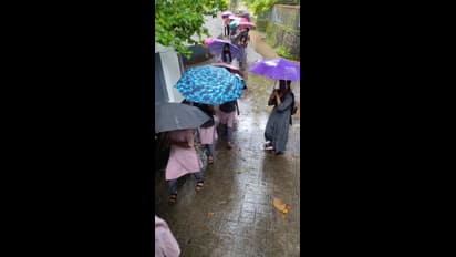  മഴ; 12 ജില്ലകളില്‍ അലര്‍ട്ട്; വടക്കന്‍ കേരളത്തില്‍ മഴ കനക്കും 