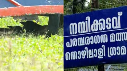 തൃശ്ശൂരിലും തെരുവുനായ ആക്രമണം, തളിക്കുളത്ത് മൂന്ന് കുട്ടികൾക്ക് കടിയേറ്റു