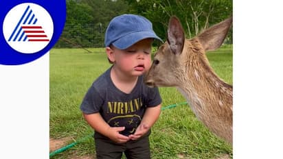 ತಬ್ಬಿ ಹಿಡಿದು ಜಿಂಕೆಗೆ ಮುತ್ತಿಕ್ಕಿದ ಪೋರ: ವಿಡಿಯೋ ವೈರಲ್