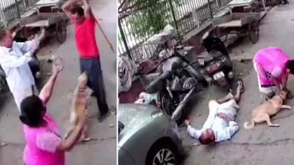 ಬೊಗಳಿತೆಂದು ನಾಯಿ ಹಾಗೂ ಮಾಲೀಕನ ಮೇಲೆ ಅಮಾನುಷ ಹಲ್ಲೆ: ಸಿಸಿಟಿವಿಯಲ್ಲಿ ದೃಶ್ಯ ಸೆರೆ