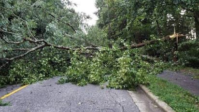 കാലവര്‍ഷ കെടുതിയില്‍ ഇടുക്കിയില്‍ രണ്ട് ദിവസങ്ങളിലായി മരിച്ചത് അഞ്ച് പേര്‍