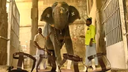 പ്രിയപ്പെട്ട ആനയ്ക്ക് ഭക്തർ വാങ്ങി സമ്മാനിച്ചത് 12,000 രൂപയുടെ ചെരിപ്പ് 