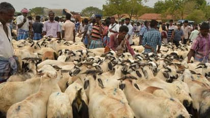 ஆடு மேய்க்க சென்ற மனைவி.! அரை நிர்வாண கோலத்தில் கண்ட கணவர்.! நடந்தது என்ன?