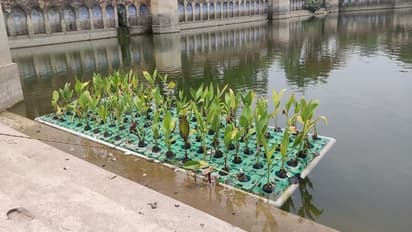 अयोध्या में नई तकनीकी से साफ किए जा रहे जलाशय, अवैध निर्माण पर चलेगा बुलडोजर