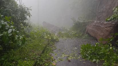 കൊട്ടിയൂരിൽ നിന്ന് വയനാട്ടിലേക്ക് ചുരമില്ലാ പാത, വനഭൂമി വിട്ടുകിട്ടില്ല, പ്രതീക്ഷ മങ്ങി നാട്ടുകാർ 