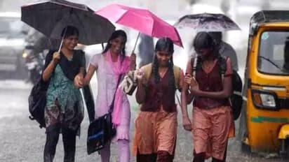 கனமழை காரணமாக 2 நாட்களுக்கு பள்ளி விடுமுறை.. ஆட்சியர் உத்தரவு - எங்கு தெரியுமா?