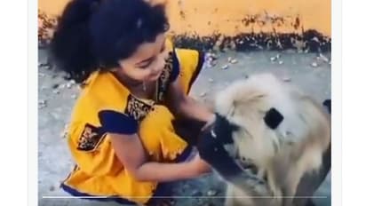 ಮಗುವನ್ನು ಕಸಿಯಲೆತ್ನಿಸಿದ ಬಾಲಕಿ: ತಾಯಿ ಕೋತಿಯ ರಿಯಾಕ್ಷನ್ ನೋಡಿ