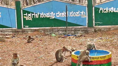 Monkey Park : കുരങ്ങുകള്‍ക്കായി രണ്ട് കോടിയുടെ പാര്‍ക്ക് ; ടൂറിസം സാധ്യതയെന്ന് സര്‍ക്കാര്‍