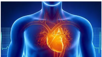 Why do young people have cardiovascular diseases? Read this carefully