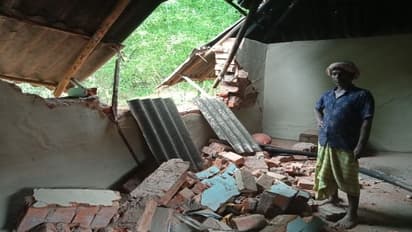 पूर्वी सिंहभूम: जंगली हाथियों का उत्पात जारी, चाकुलिया में फिर घर तोड़ा, 20 क्विंटल धान चट कर गए