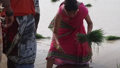 Union Budget 2024: వ్యవసాయానికి రూ.1.52లక్షల కోట్లు, ఆర్గానిక్ ఫామింగ్ పై స్పెషల్ ఫోకస్..!